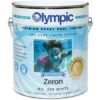 Olympic Zeron Epoxy Pool Coating 1 Gallon, White